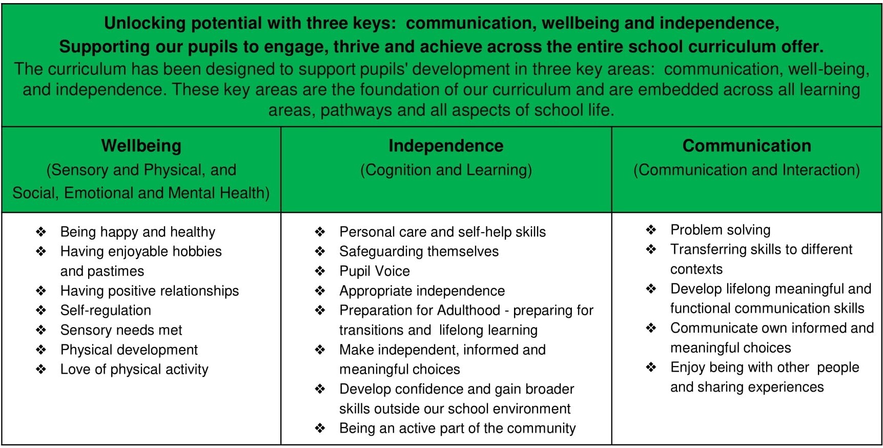 Curriculum Offer at Shenstone School 2025